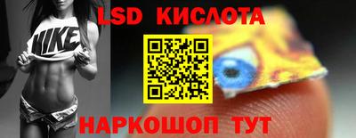 индика Заволжье