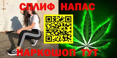 индика Заволжье