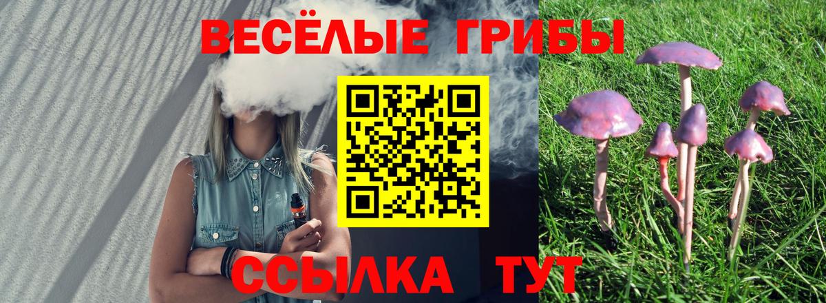 Галлюциногенные грибы мицелий  Галлюциногенные грибы Psilocybe  Междуреченск  Вход с VPN 